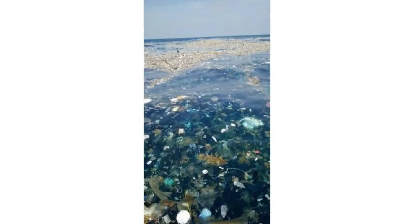 Kilometres-long piles of garbage floating offshore Kilometres-long piles of garbage floating offshore