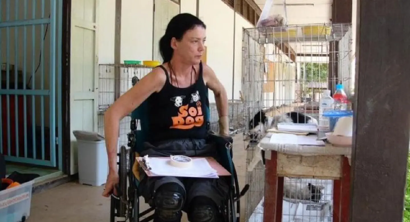 Soi Dog co-founder Gill Dalley passes away Soi Dog co-founder Gill Dalley passes away