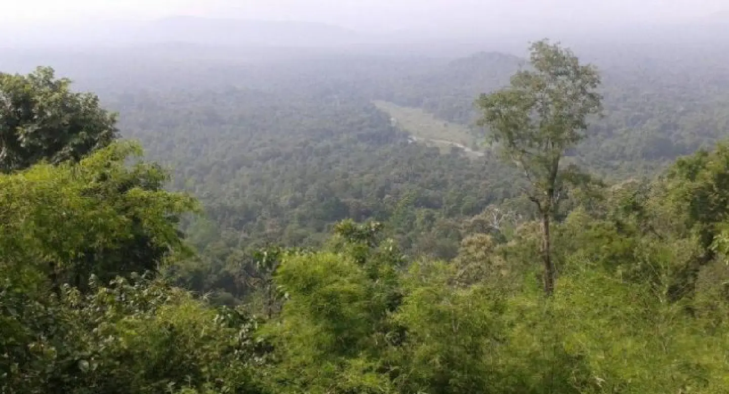 Forest reform proposal merits our full attention Forest reform proposal merits our full attention