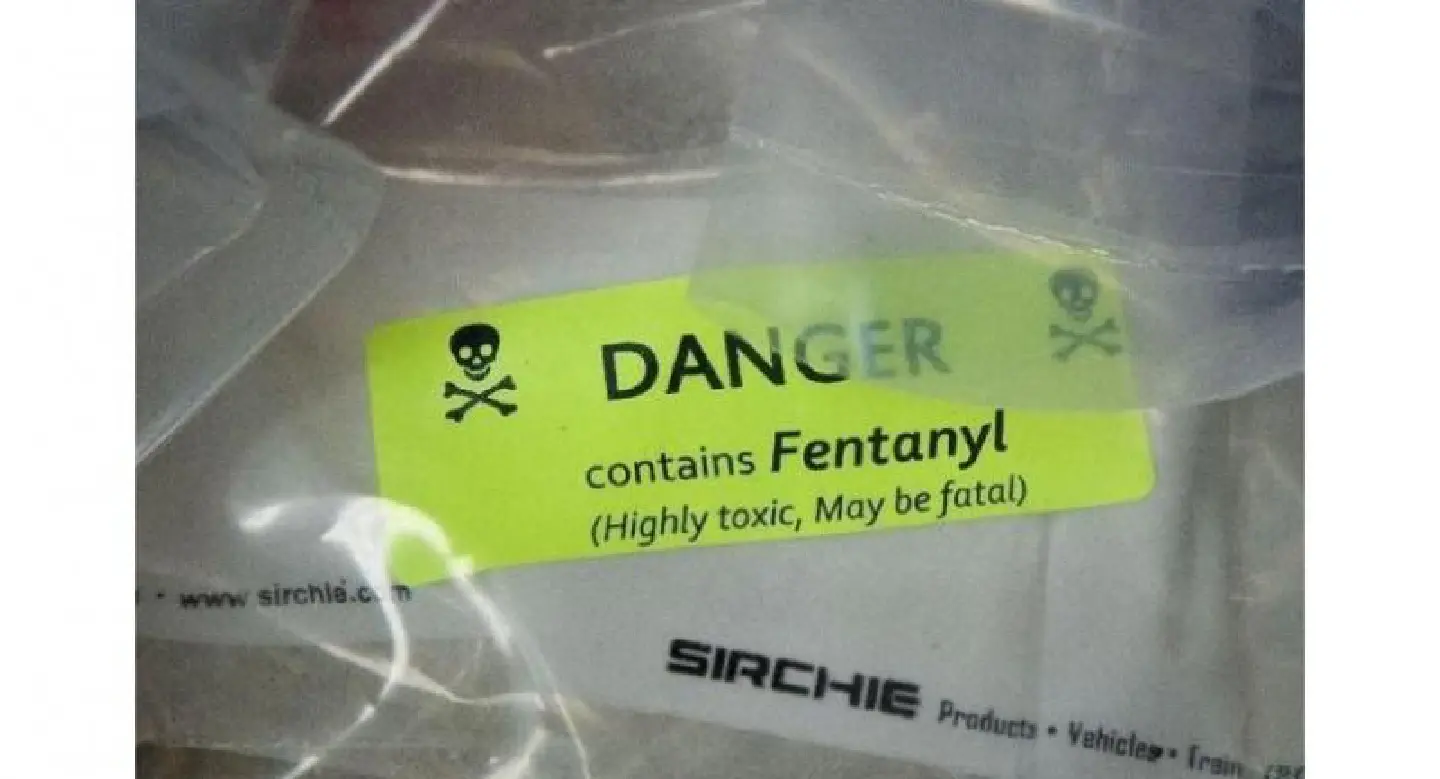 Canada opioid crisis leads to more organ transplants Canada opioid crisis leads to more organ transplants