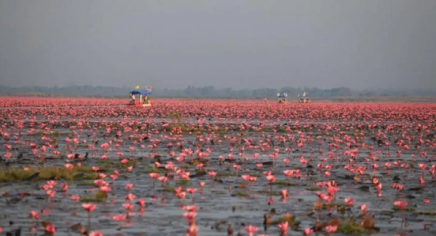 CNN names Isaan as top world destination CNN names Isaan as top world destination