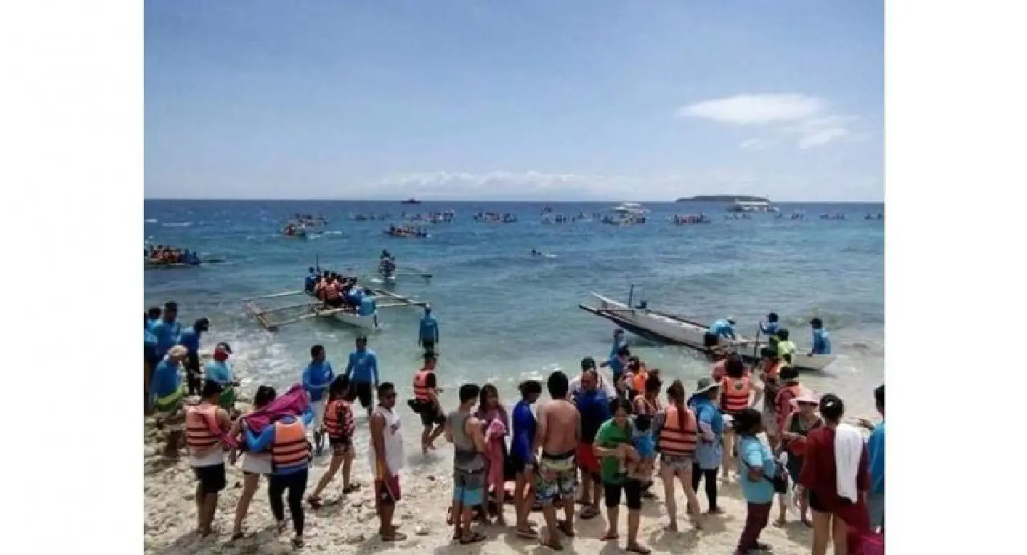 Thai princess swims with whale sharks in Oslob Thai princess swims with whale sharks in Oslob