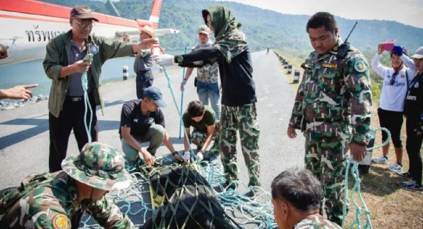 Bad weather blamed for bear’s death plunge from chopper Bad weather blamed for bear’s death plunge from chopper