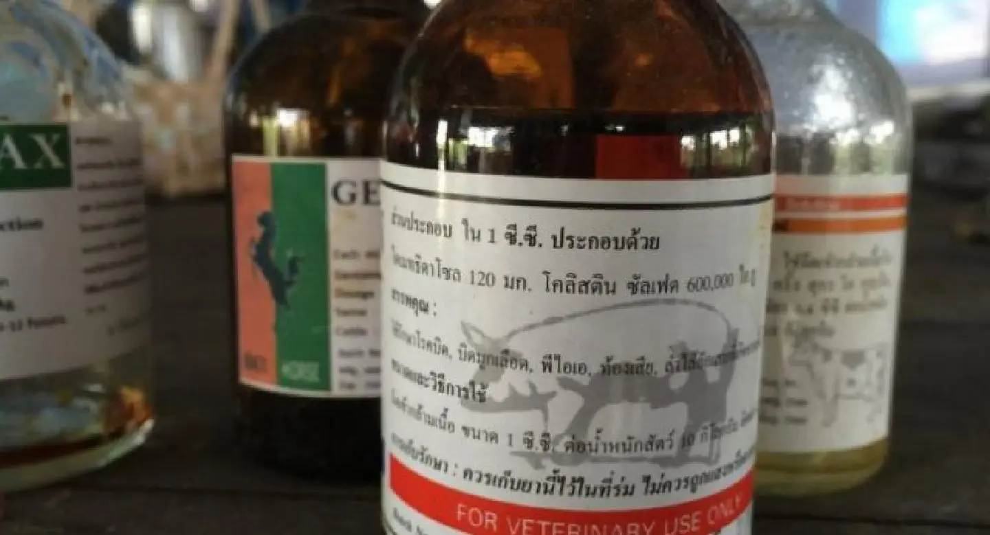 Livestock agency imposes controls for veterinarians for ‘last-resort antibiotic’