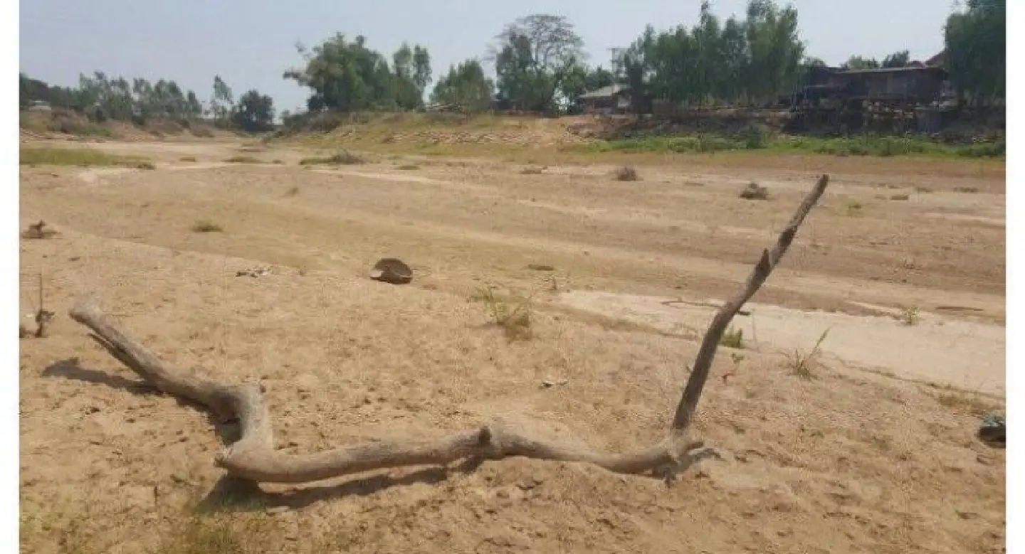 Phichit farmers suffering after Yom River runs dry Phichit farmers suffering after Yom River runs dry