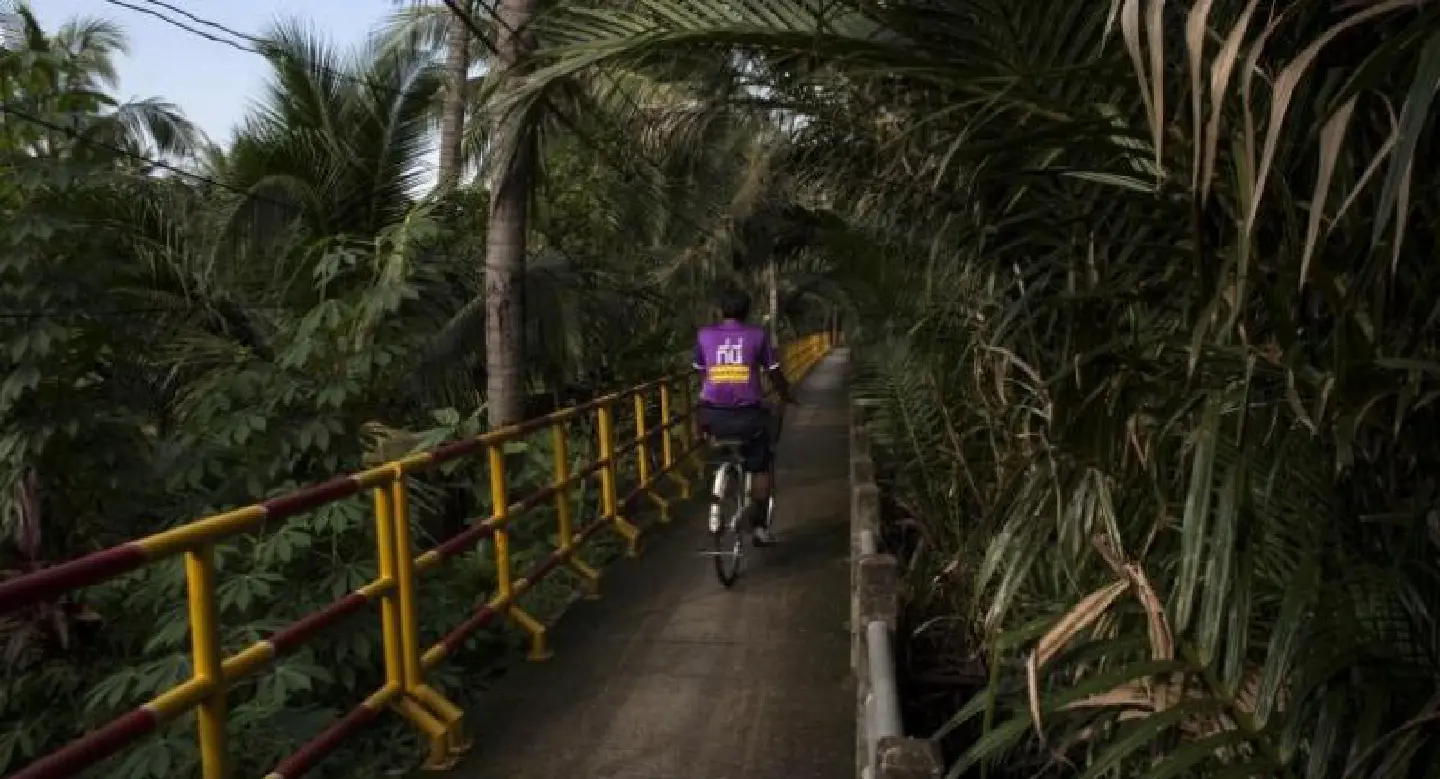 The battle to save Bangkok’s ‘Green Lung’ The battle to save Bangkok’s ‘Green Lung’