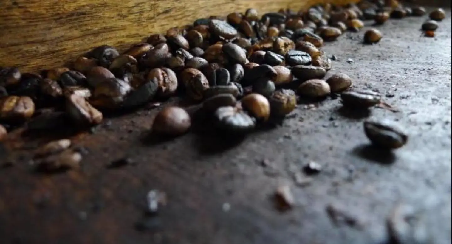 Making a case for coffee Making a case for coffee