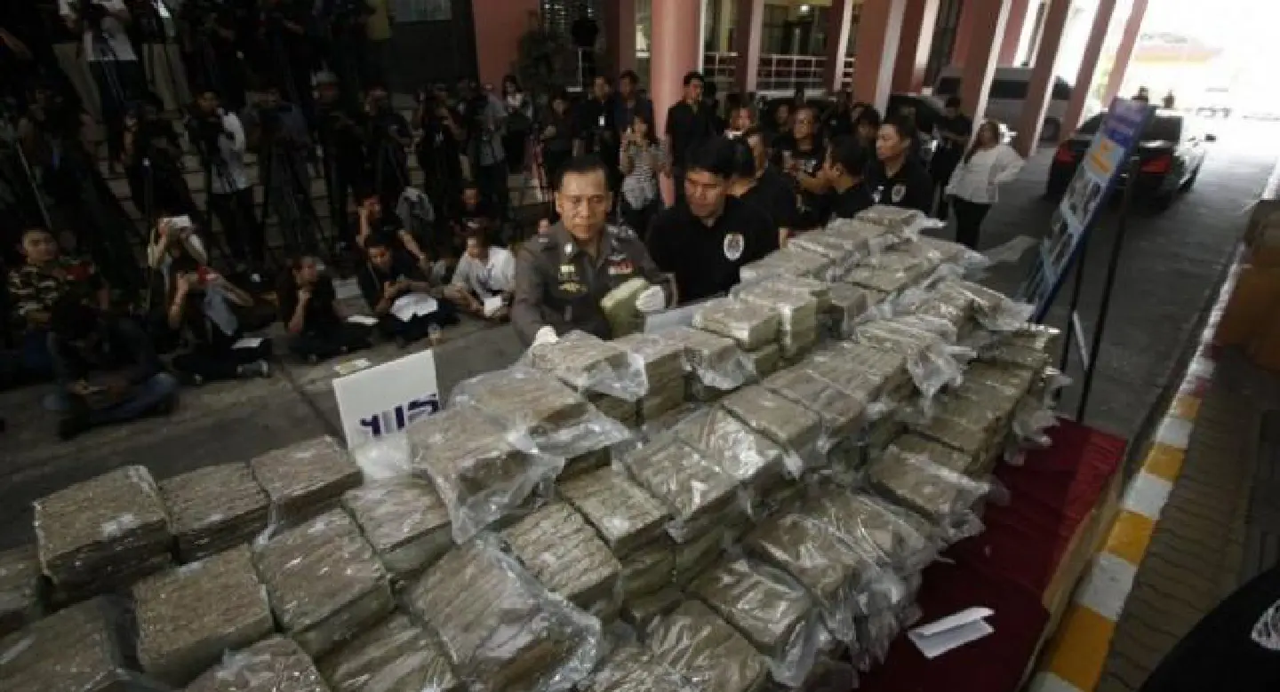 Five arrested after big marijuana haul in Lop Buri Five arrested after big marijuana haul in Lop Buri