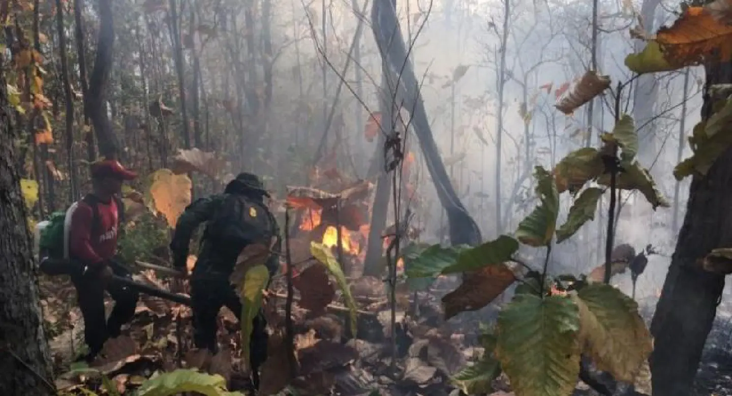Haze problem worsens in North as many provinces hit by wildfires Haze problem worsens in North as many provinces hit by wildfires