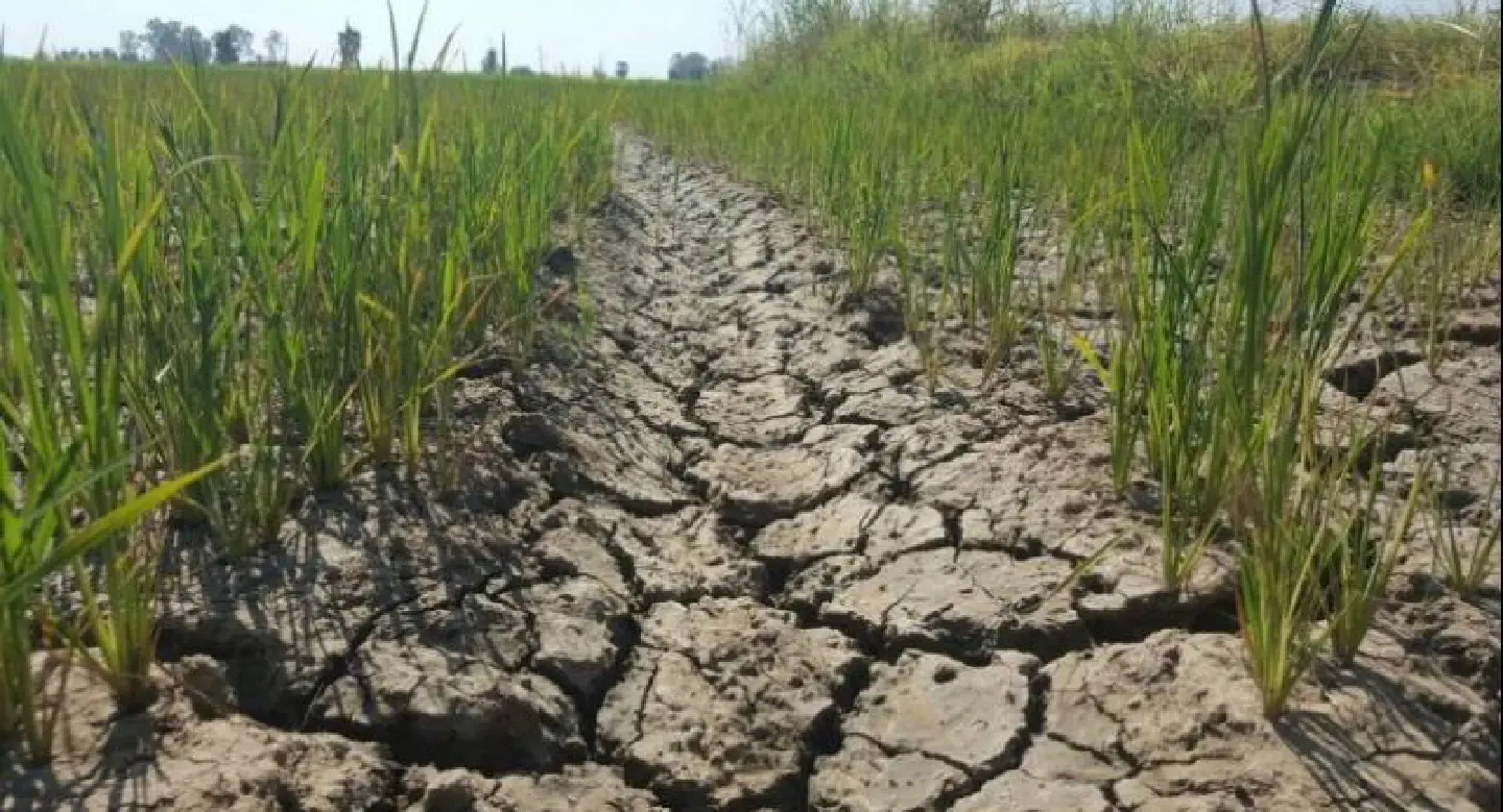 Bt3.49 billion to find jobs for farmers in dry season Bt3.49 billion to find jobs for farmers in dry season