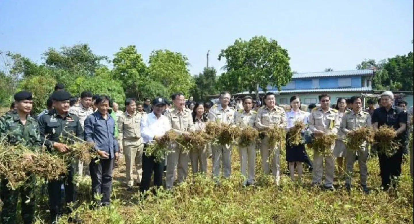 Chatchai bans third round of rice growing to avoid water shortage Chatchai bans third round of rice growing to avoid water shortage