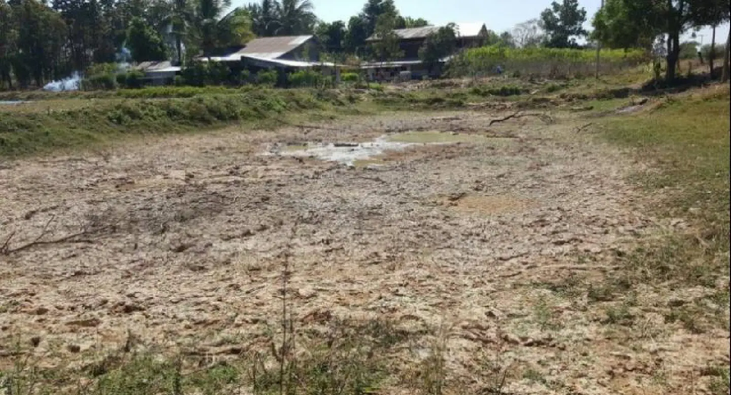 Irrigation Dept to create jobs to deter farmers from growing rice in dry season Irrigation Dept to create jobs to deter farmers from growing rice in dry season