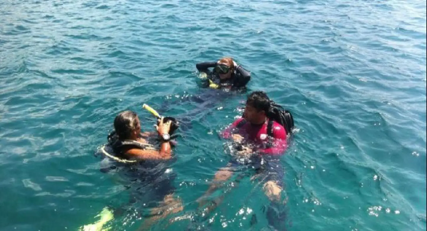 Search continued on 23rd day for missing Russian tourist at Koh Tao Search continued on 23rd day for missing Russian tourist at Koh Tao