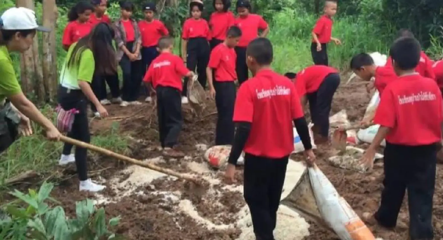 Army, residents build artificial salt lick in Lopburi to mark Thai Elephant Day Army, residents build artificial salt lick in Lopburi to mark Thai Elephant Day