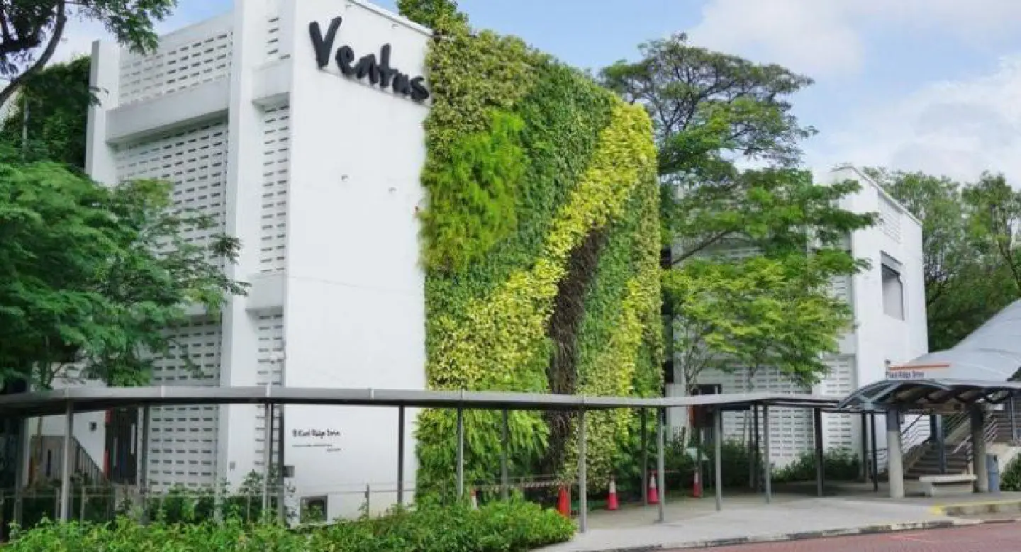 Singaporean school named best university in Asia Singaporean school named best university in Asia