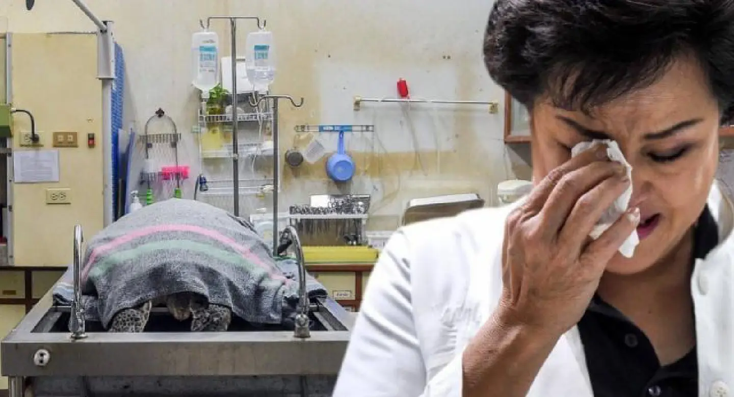 Ormsin in coma with slim chance of survival: chief surgeon