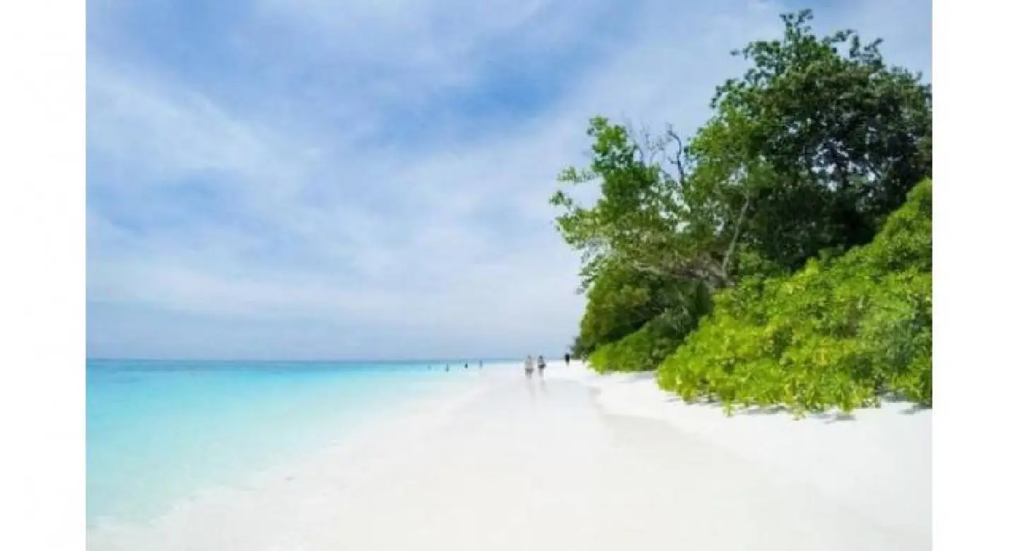 Ta Chai island to remain closed, says DNP Ta Chai island to remain closed, says DNP