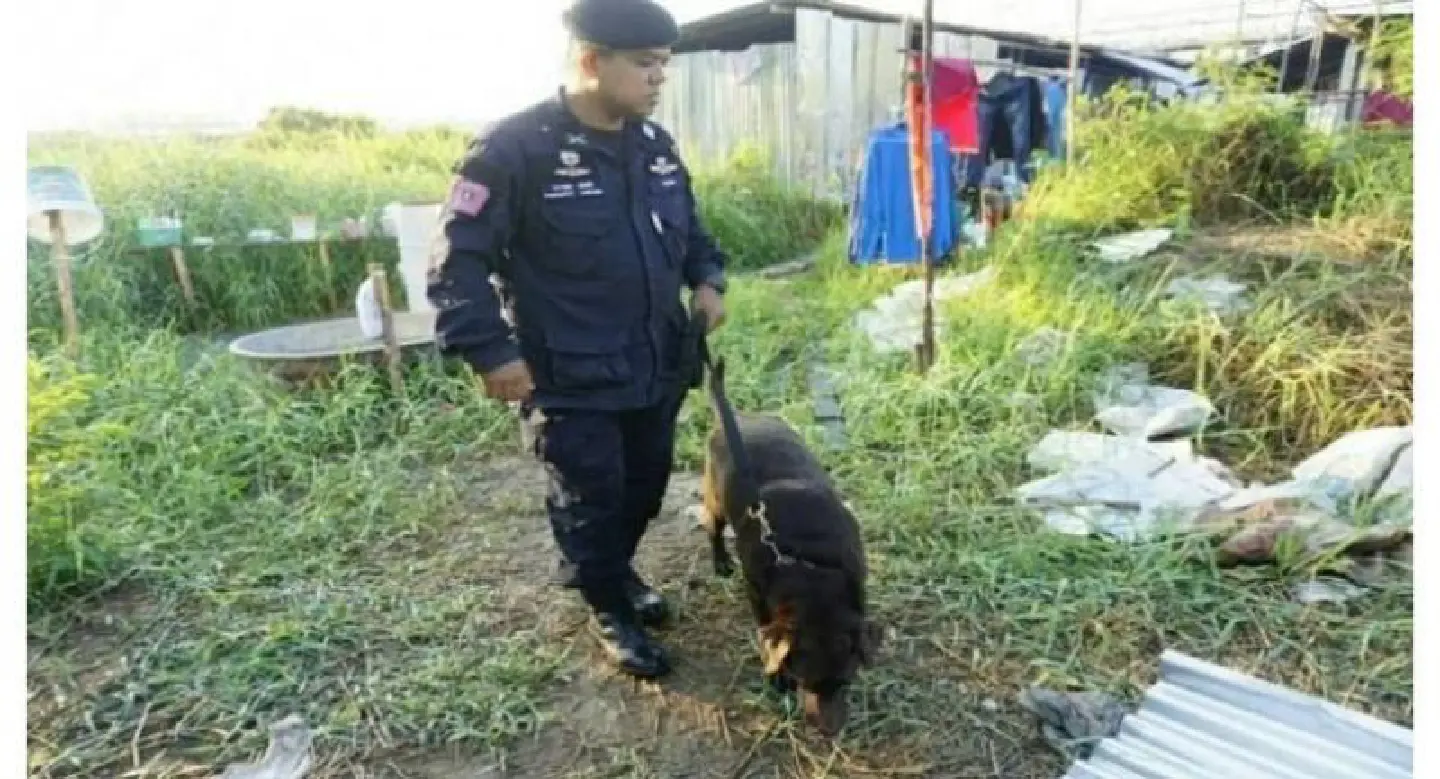 Drug raid on construction workers camp finds nothing