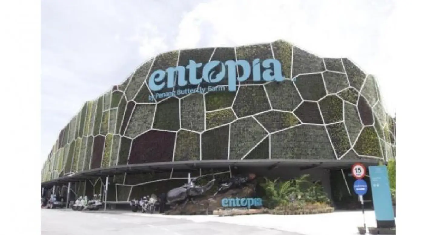 Entopia green wall enters Malaysia Book of Records Entopia green wall enters Malaysia Book of Records
