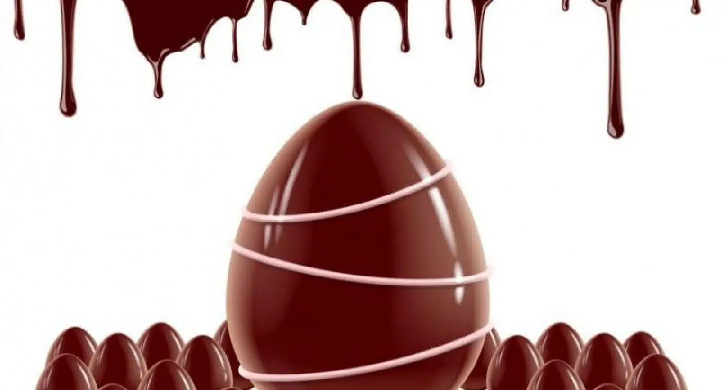 Bunny hops and chocolate eggs Bunny hops and chocolate eggs