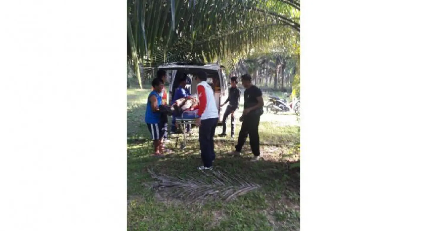 Briton found unconscious near railway track in Chumphon Briton found unconscious near railway track in Chumphon