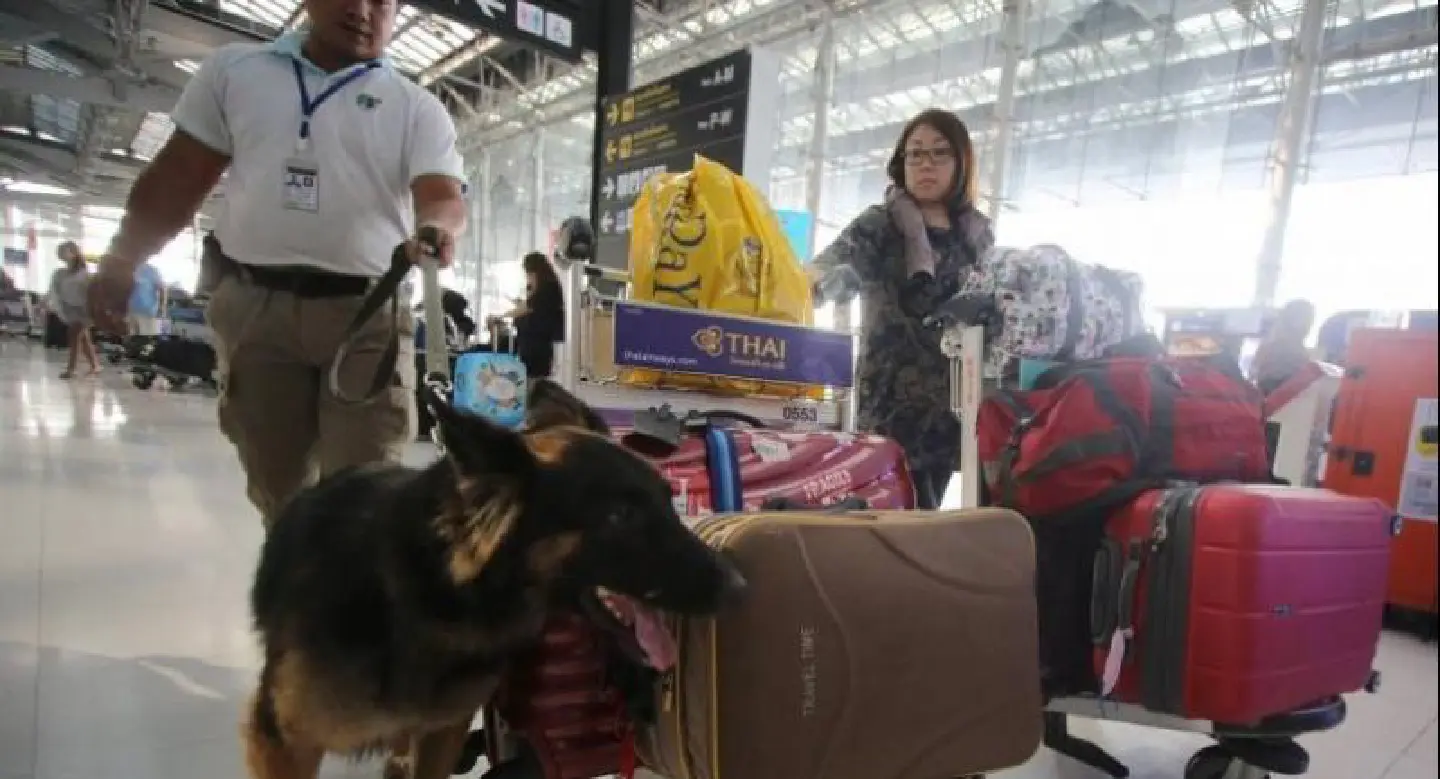 Major airports expect over 5.3 million arrivals for Songkran Major airports expect over 5.3 million arrivals for Songkran