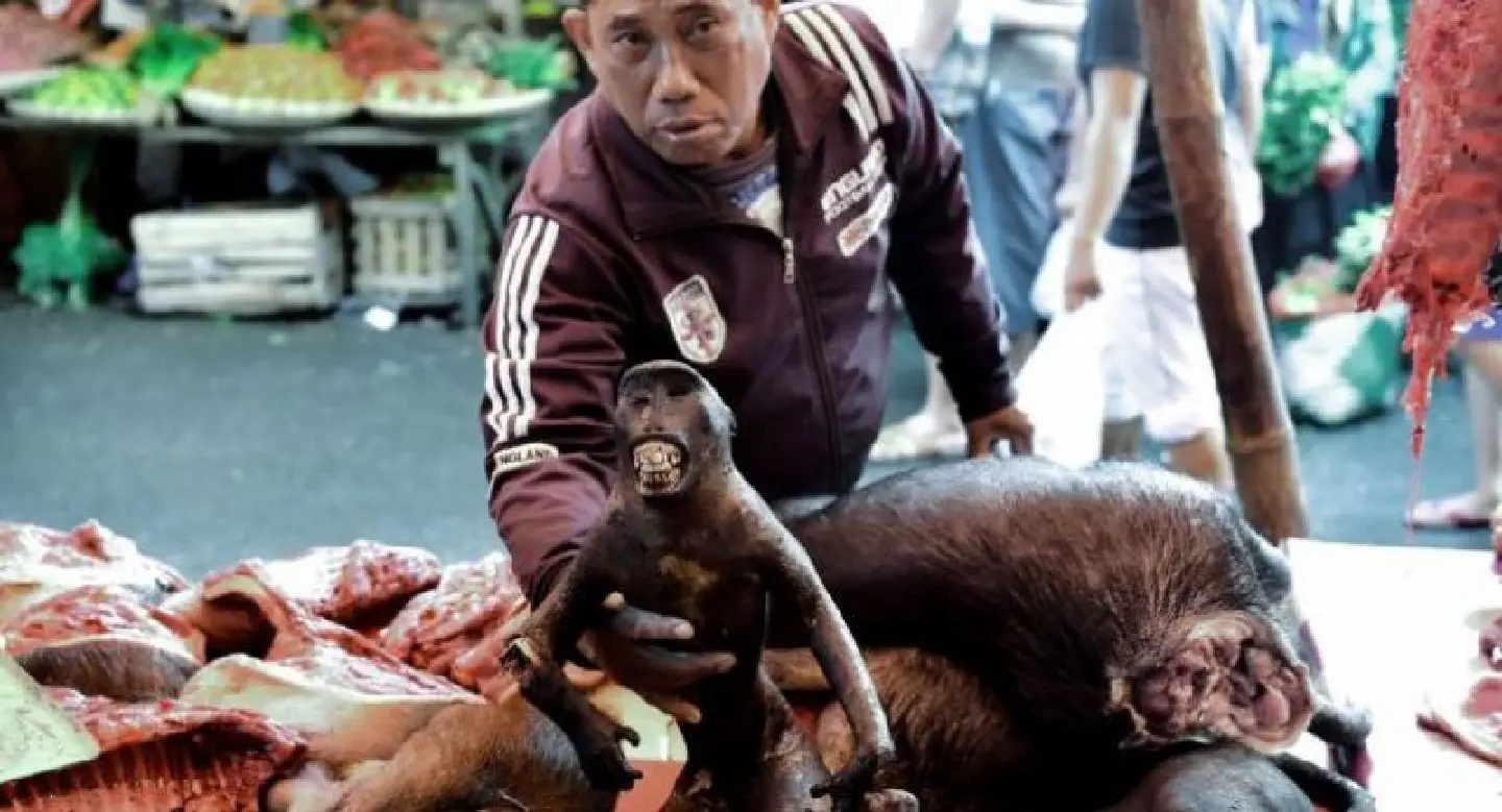 Wildlife trade has moved to Instagram, say Jakarta police Wildlife trade has moved to Instagram, say Jakarta police