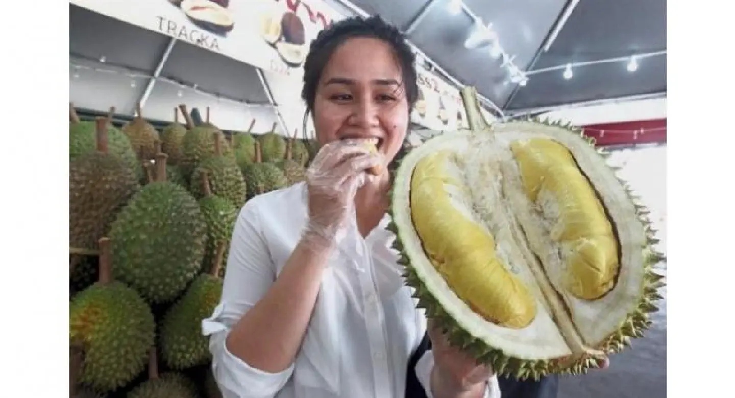 US$22 durian is a thorn in the flesh of Musang King lovers US$22 durian is a thorn in the flesh of Musang King lovers