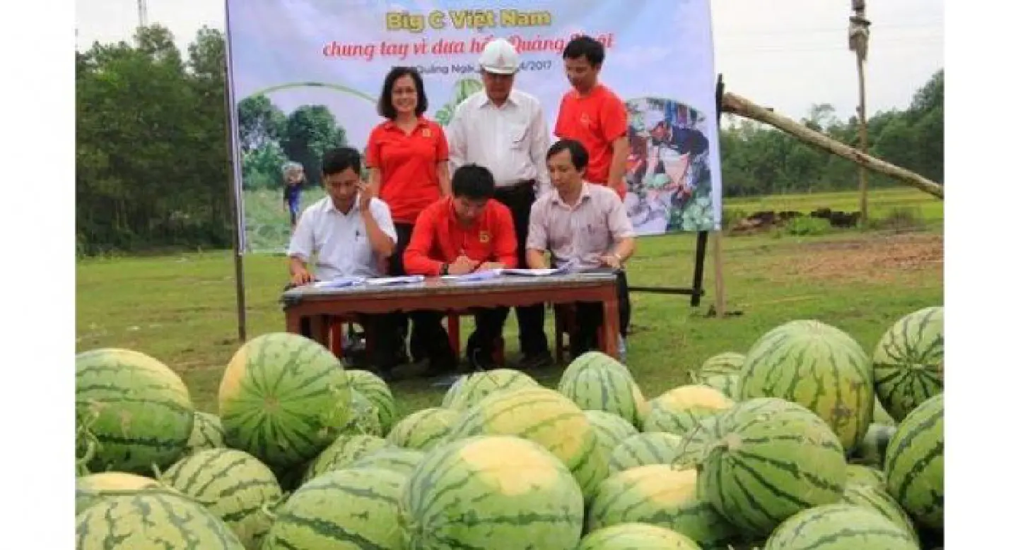 Big C to buy watermelons from beleaguered Quang Ngai farmers