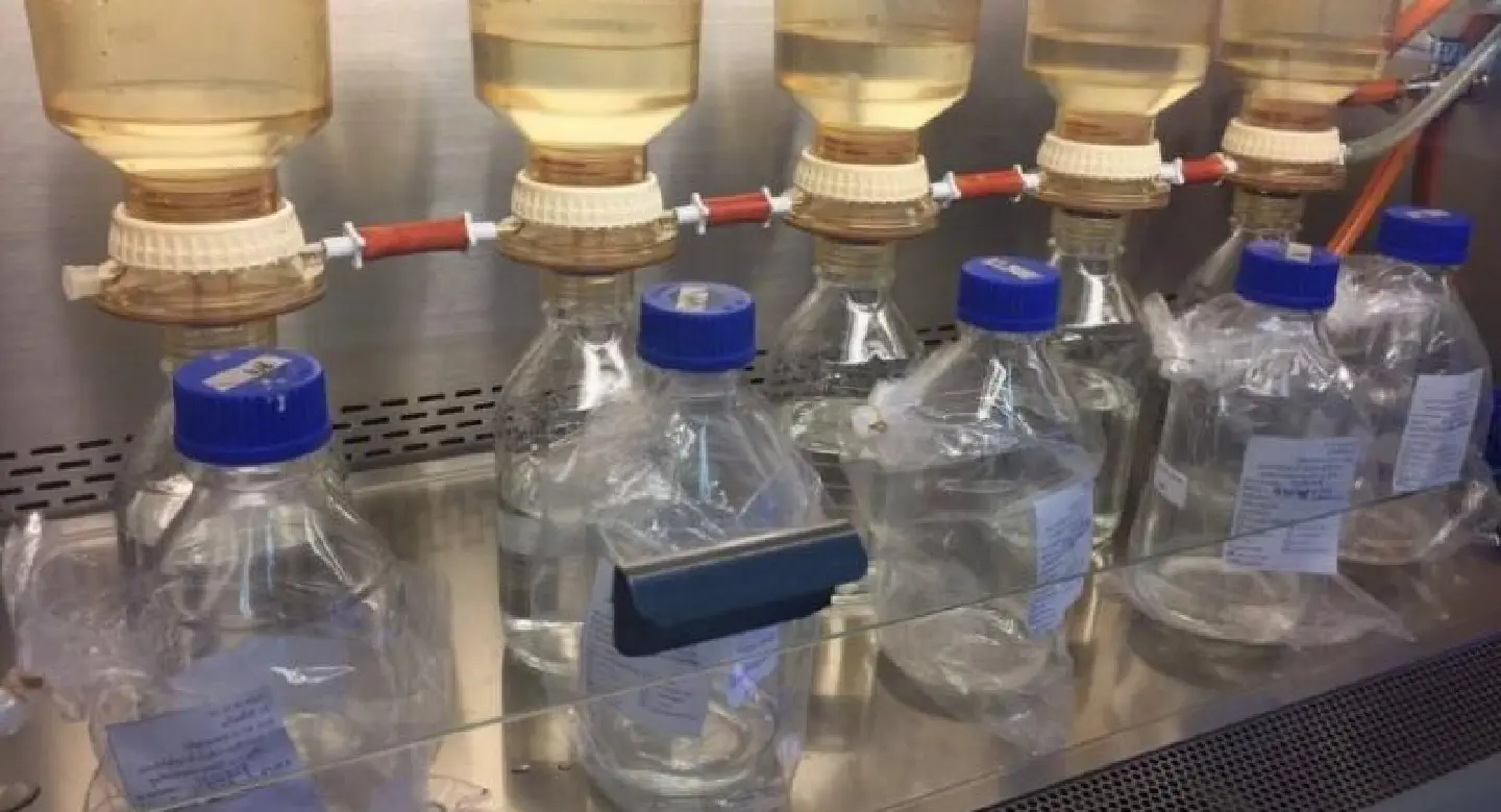 Hotels in South urged to take more safety measures against Legionnaire’s Hotels in South urged to take more safety measures against Legionnaire’s