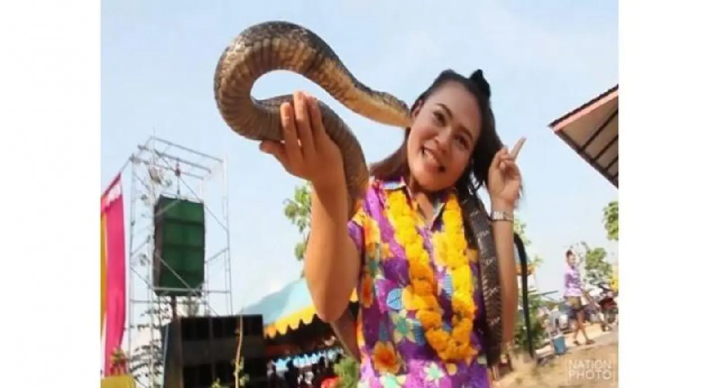 Village in Khon Kaen unleashes snake charm for Songkran Village in Khon Kaen unleashes snake charm for Songkran