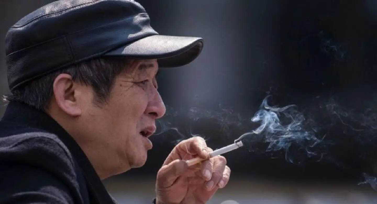 Smoking to kill 200 million in China this century: WHO Smoking to kill 200 million in China this century: WHO