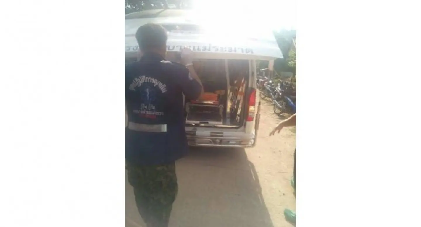 UN woman killed by elephant after herd charges noisy bike UN woman killed by elephant after herd charges noisy bike