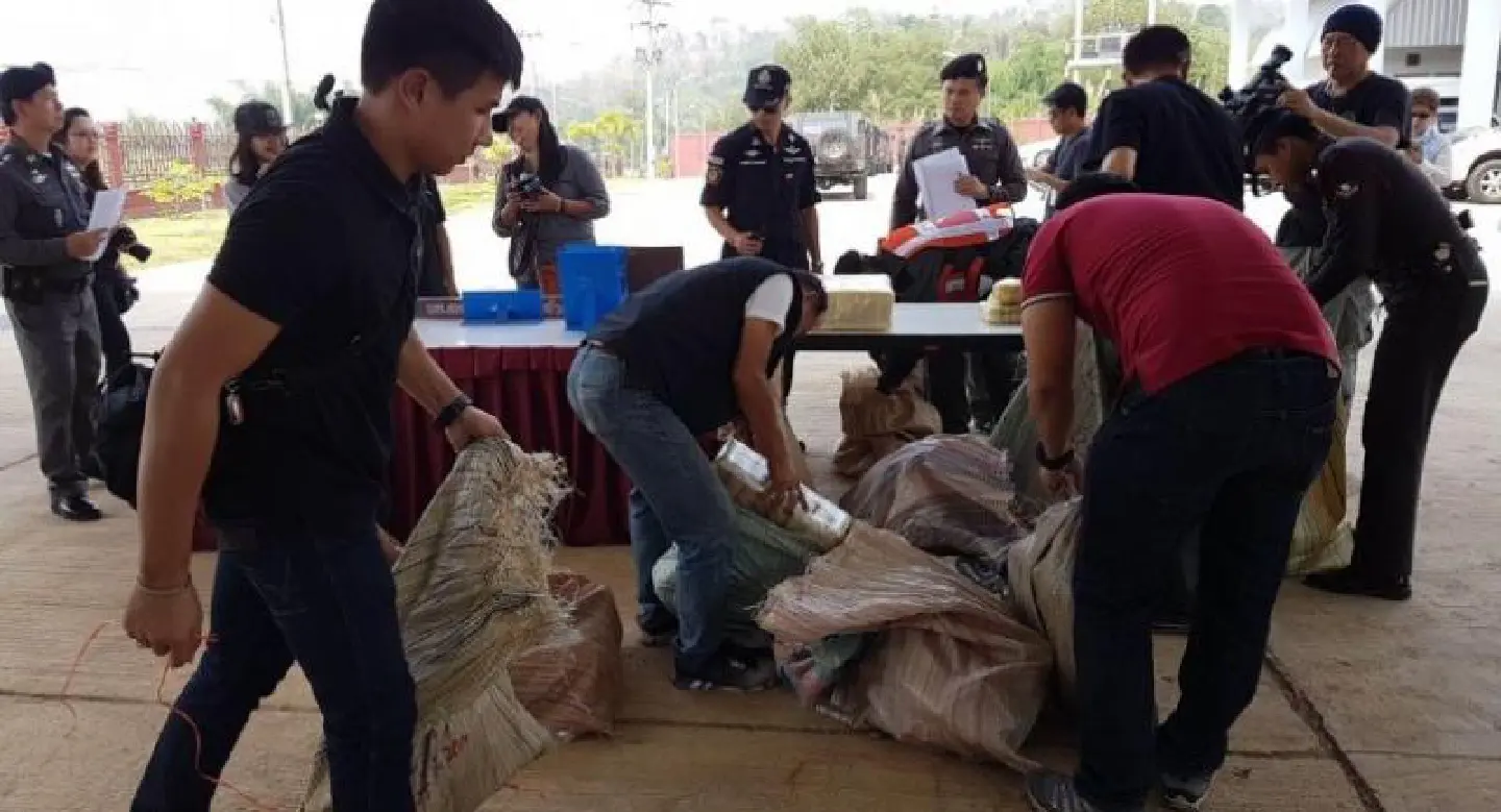 Massive drug haul hidden in truck filled with cabbages Massive drug haul hidden in truck filled with cabbages
