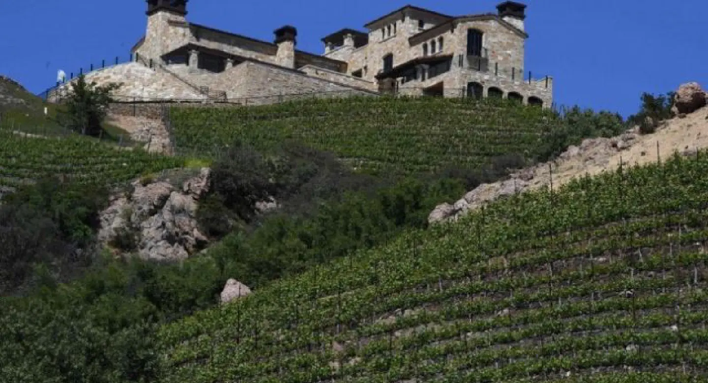 S.Africa winemakers on quest for quality and prestige S.Africa winemakers on quest for quality and prestige