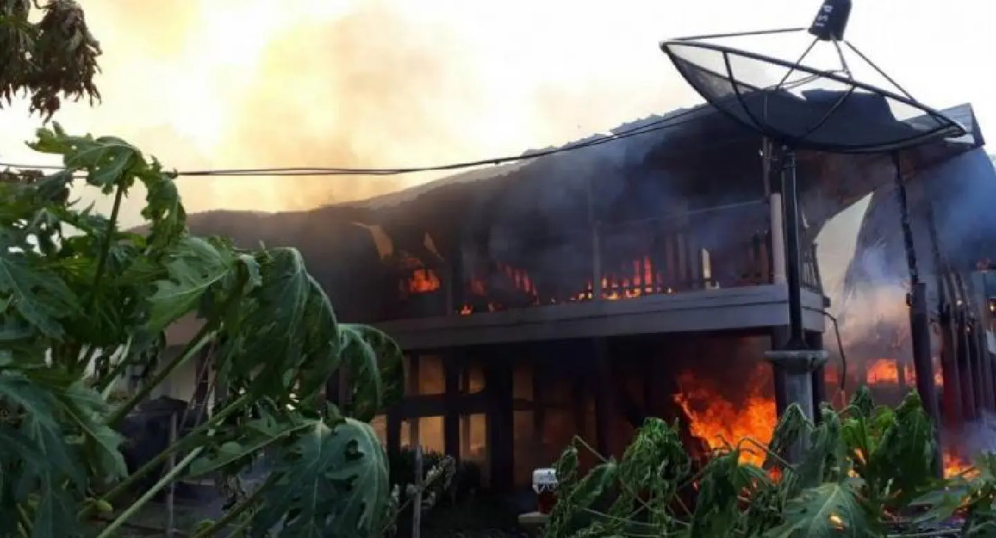 Retired university lecturer dies trying to save dogs in house fire Retired university lecturer dies trying to save dogs in house fire