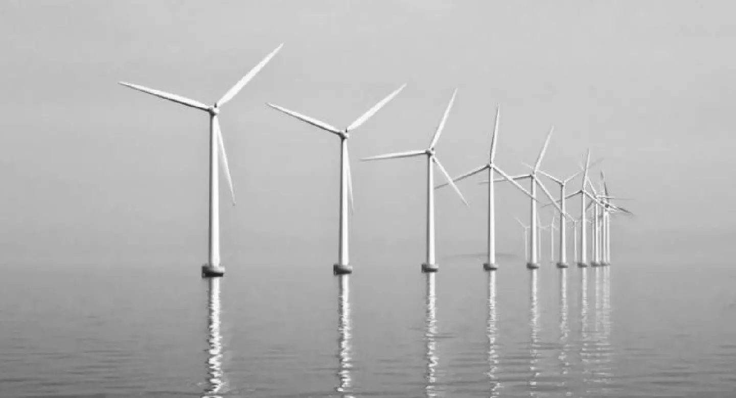 Vietnam charts its course towards green economy Vietnam charts its course towards green economy