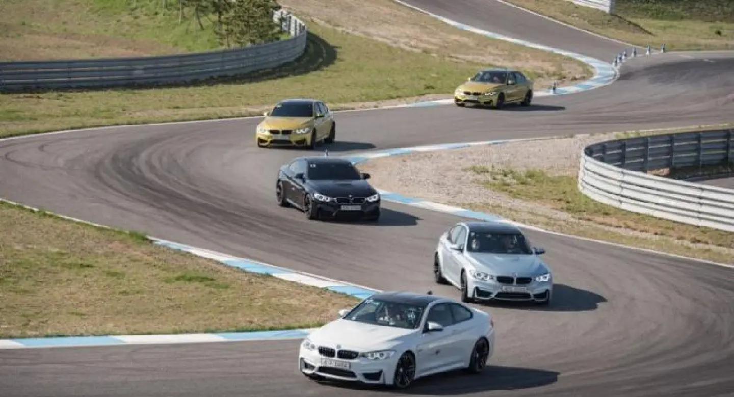 Damn, these cars are really GOOD Damn, these cars are really GOOD