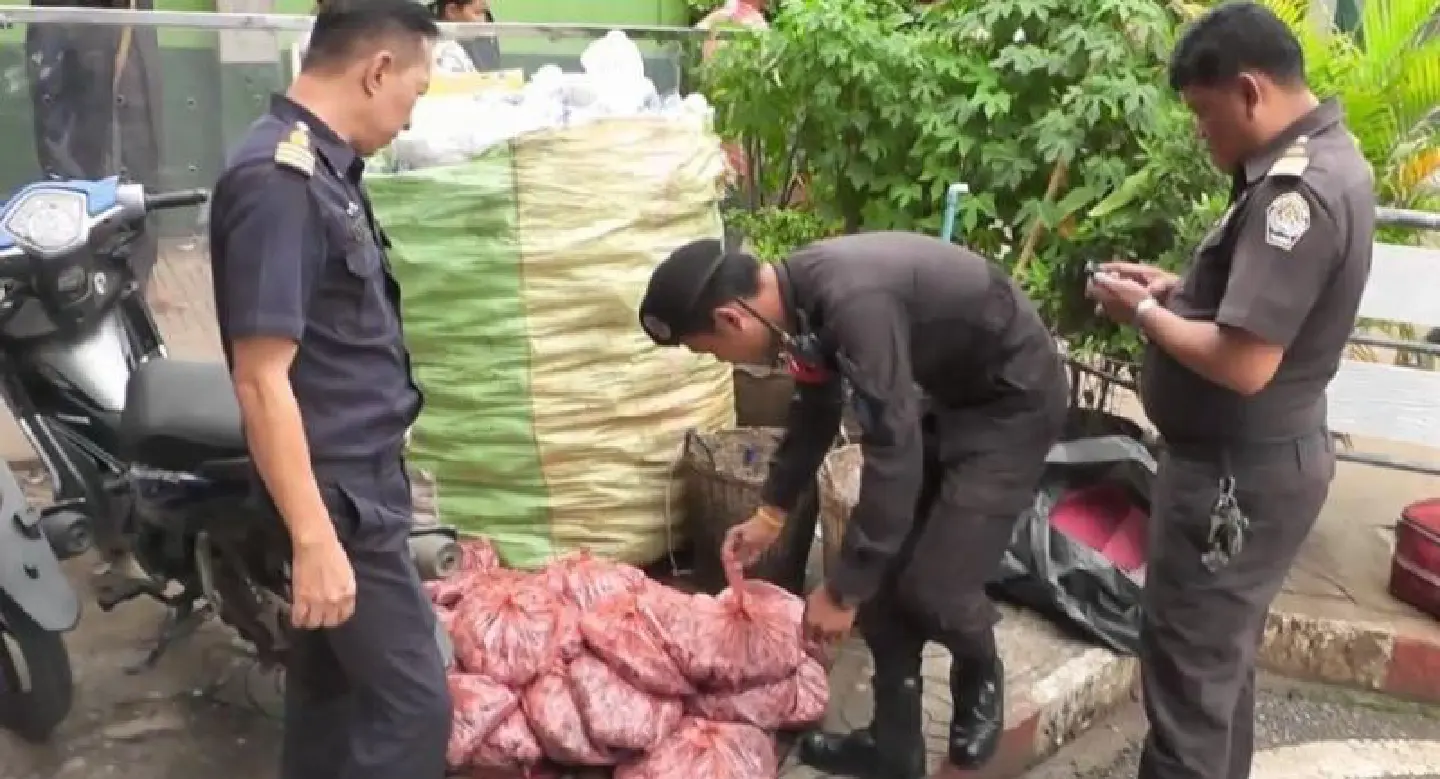 200kgs of processed field mice seized at Sa Kaew customs checkpoint 200kgs of processed field mice seized at Sa Kaew customs checkpoint