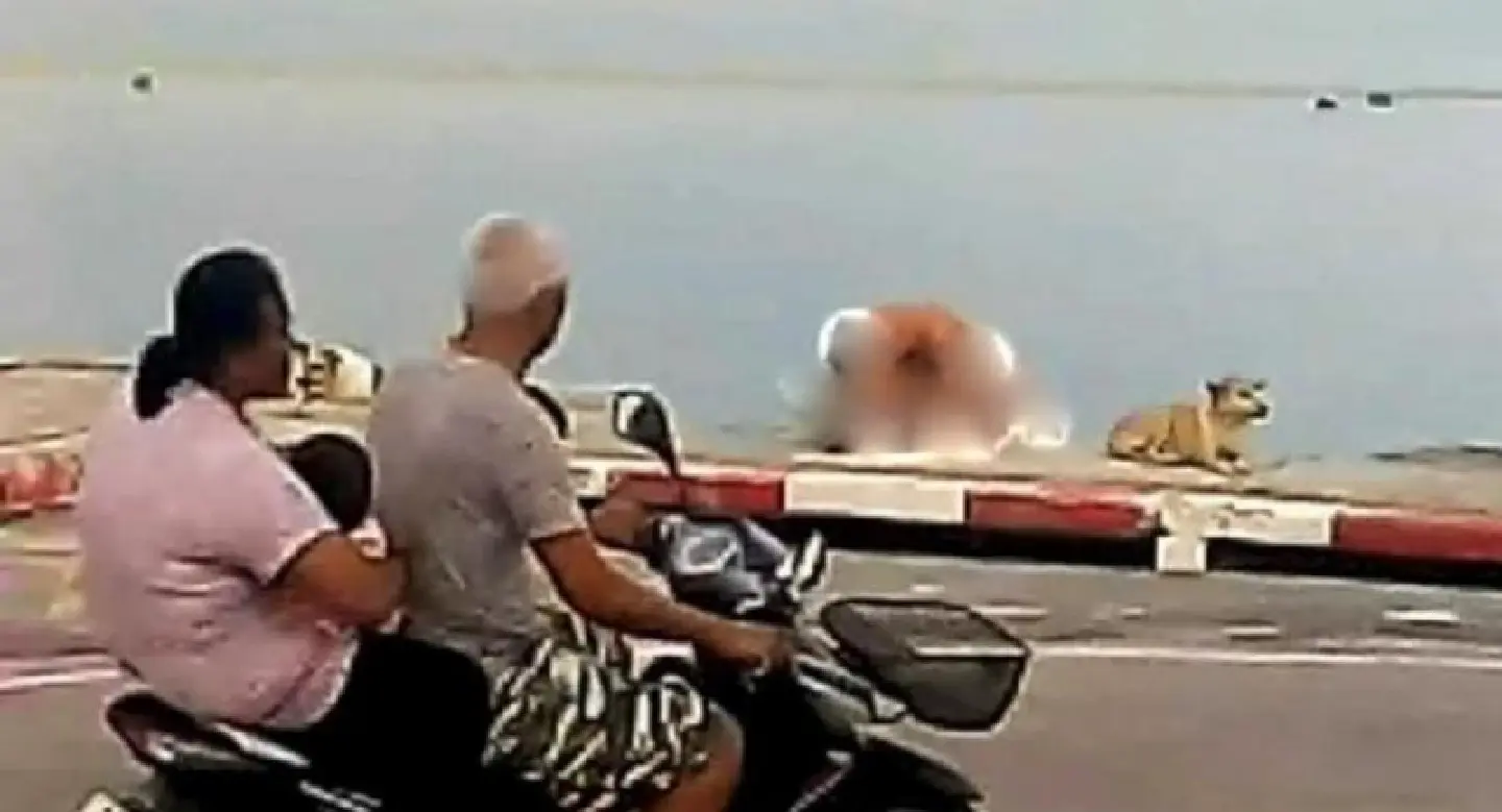 Another foreign couple wanted for committing sex acts in public Another foreign couple wanted for committing sex acts in public