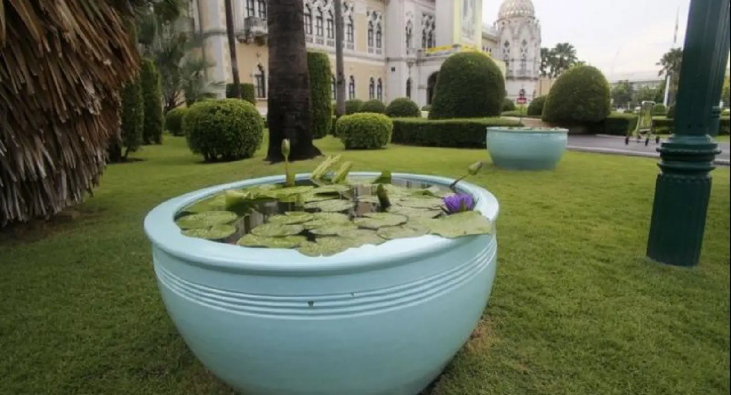 PM’s new mint-green lotus basins add dash of colour at Government House PM’s new mint-green lotus basins add dash of colour at Government House