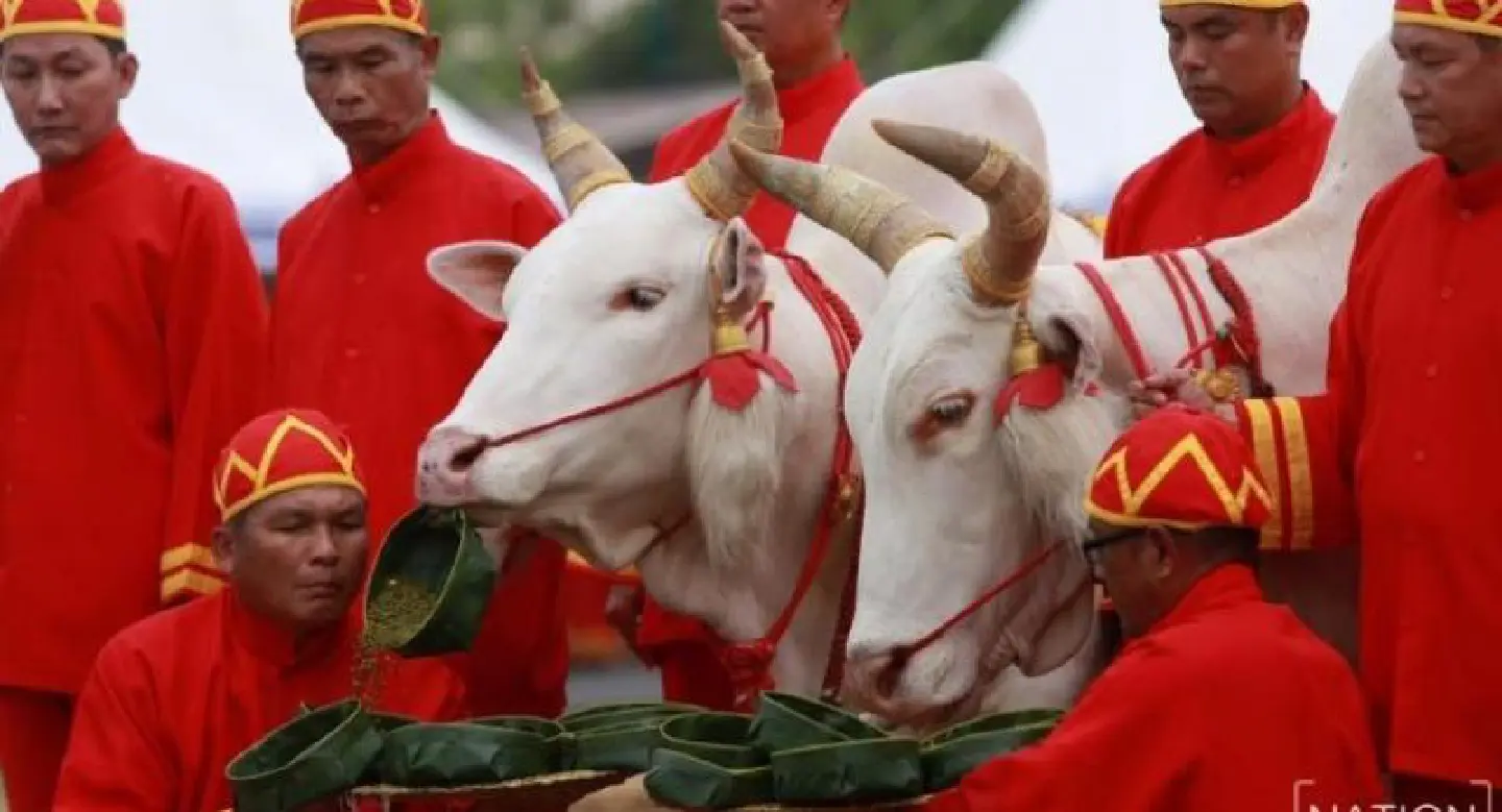 King presides at auspicious ploughing ceremony King presides at auspicious ploughing ceremony