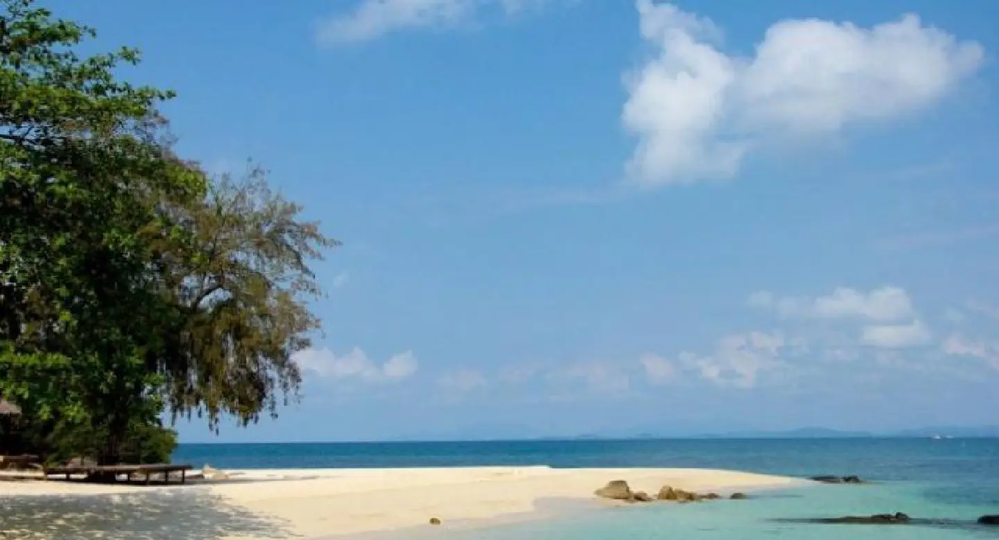 Heading to Rayong? There’s an app for that Heading to Rayong? There’s an app for that
