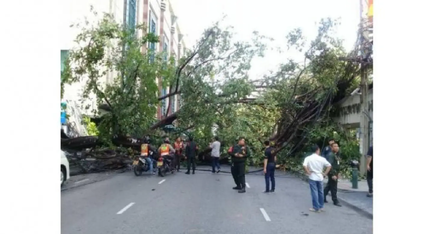 Motorcyclist killed as power pole falls on her near Central Chidlom Motorcyclist killed as power pole falls on her near Central Chidlom