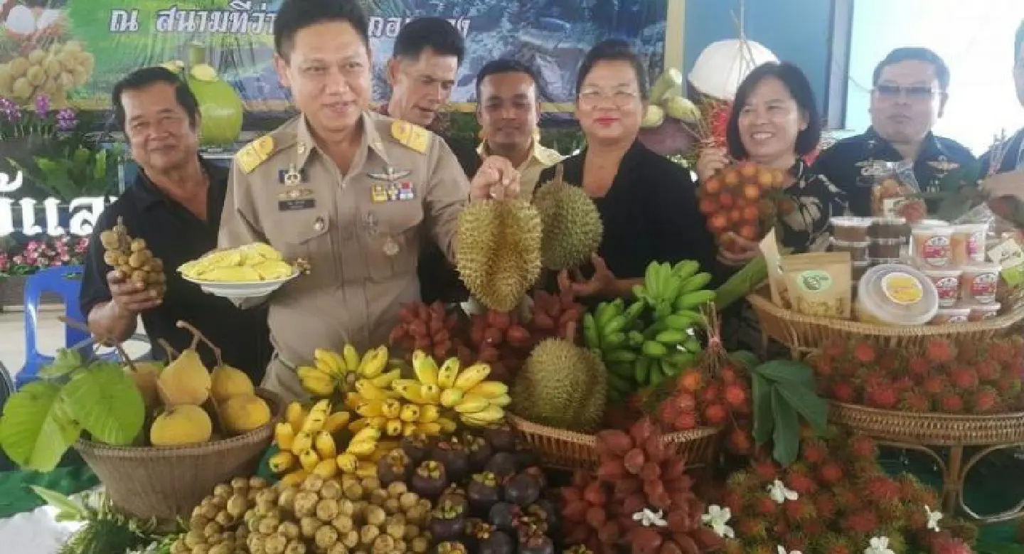 Rayong’s Klaeng district set to hold annual fruit fair Rayong’s Klaeng district set to hold annual fruit fair