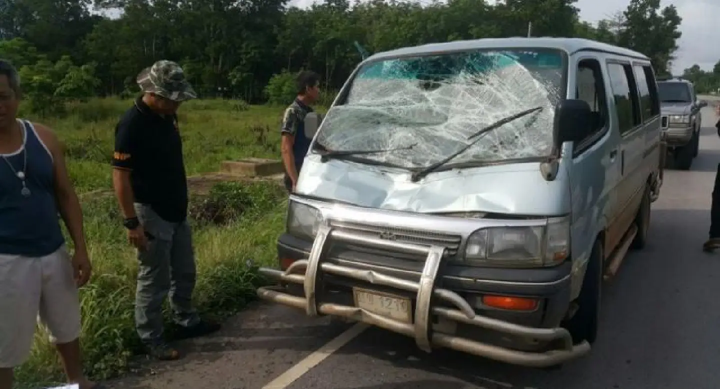 Wild elephant flees injured after being struck by van Wild elephant flees injured after being struck by van