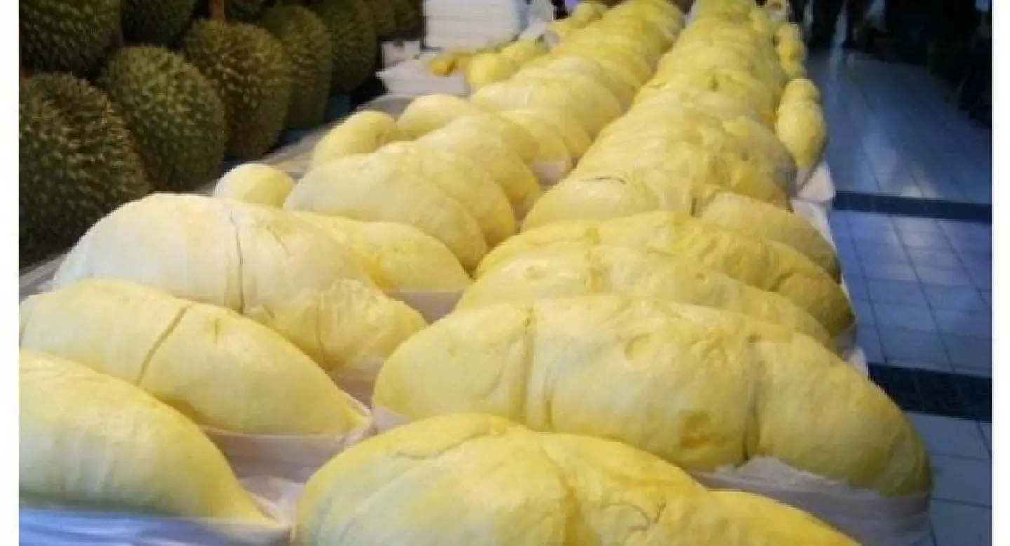 Durian and other fruity treats Durian and other fruity treats