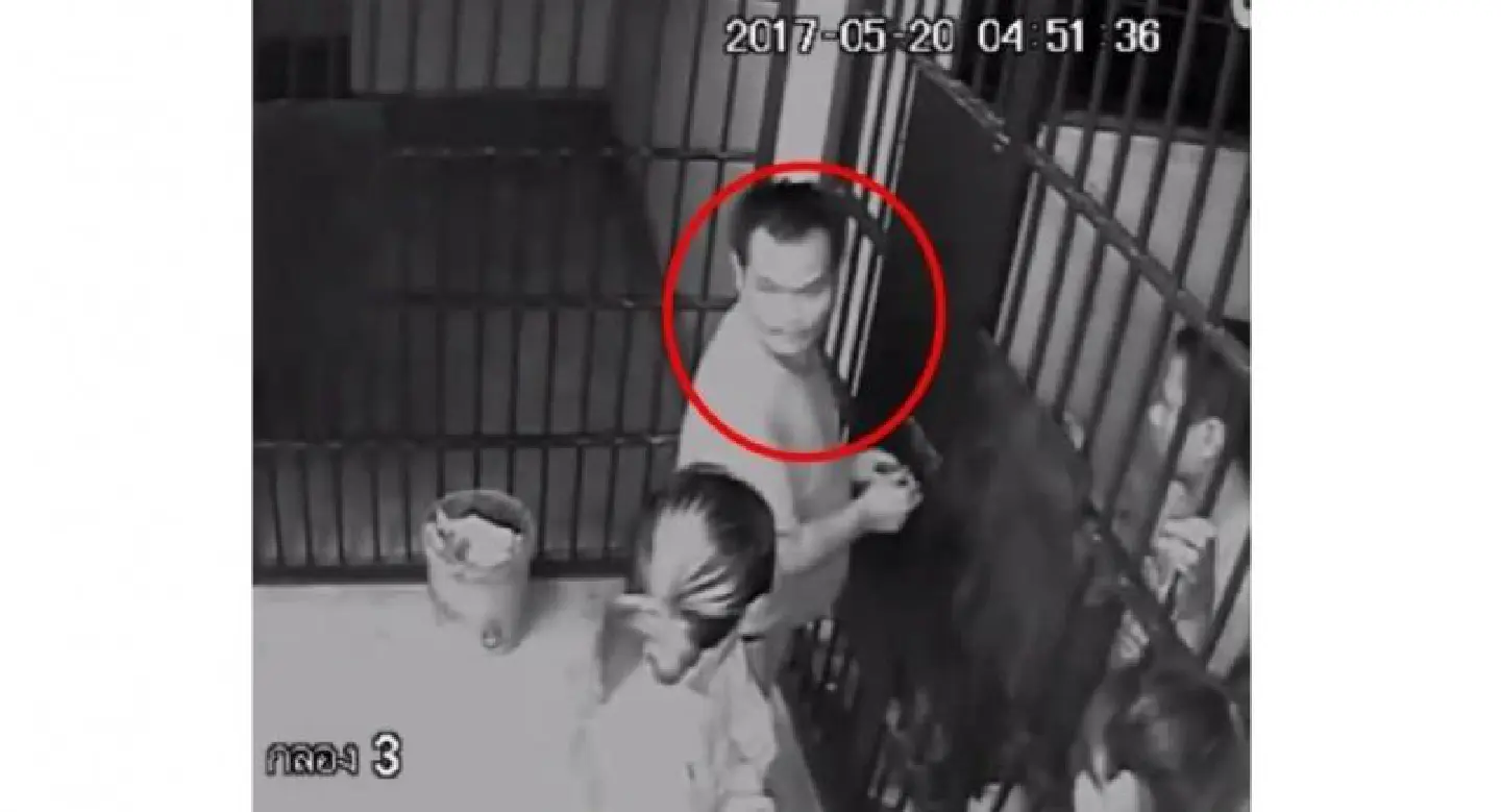 Policeman fired after drug suspects escape from cells Policeman fired after drug suspects escape from cells