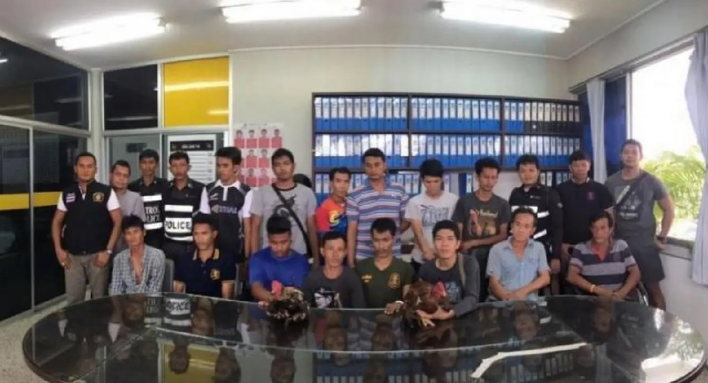 Illegal cock-fighting, gambling ring busted, 15 arrested Illegal cock-fighting, gambling ring busted, 15 arrested