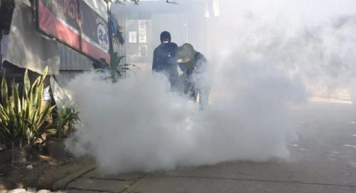 Lower Northeast sees 460 cases of dengue fever in 5 months Lower Northeast sees 460 cases of dengue fever in 5 months